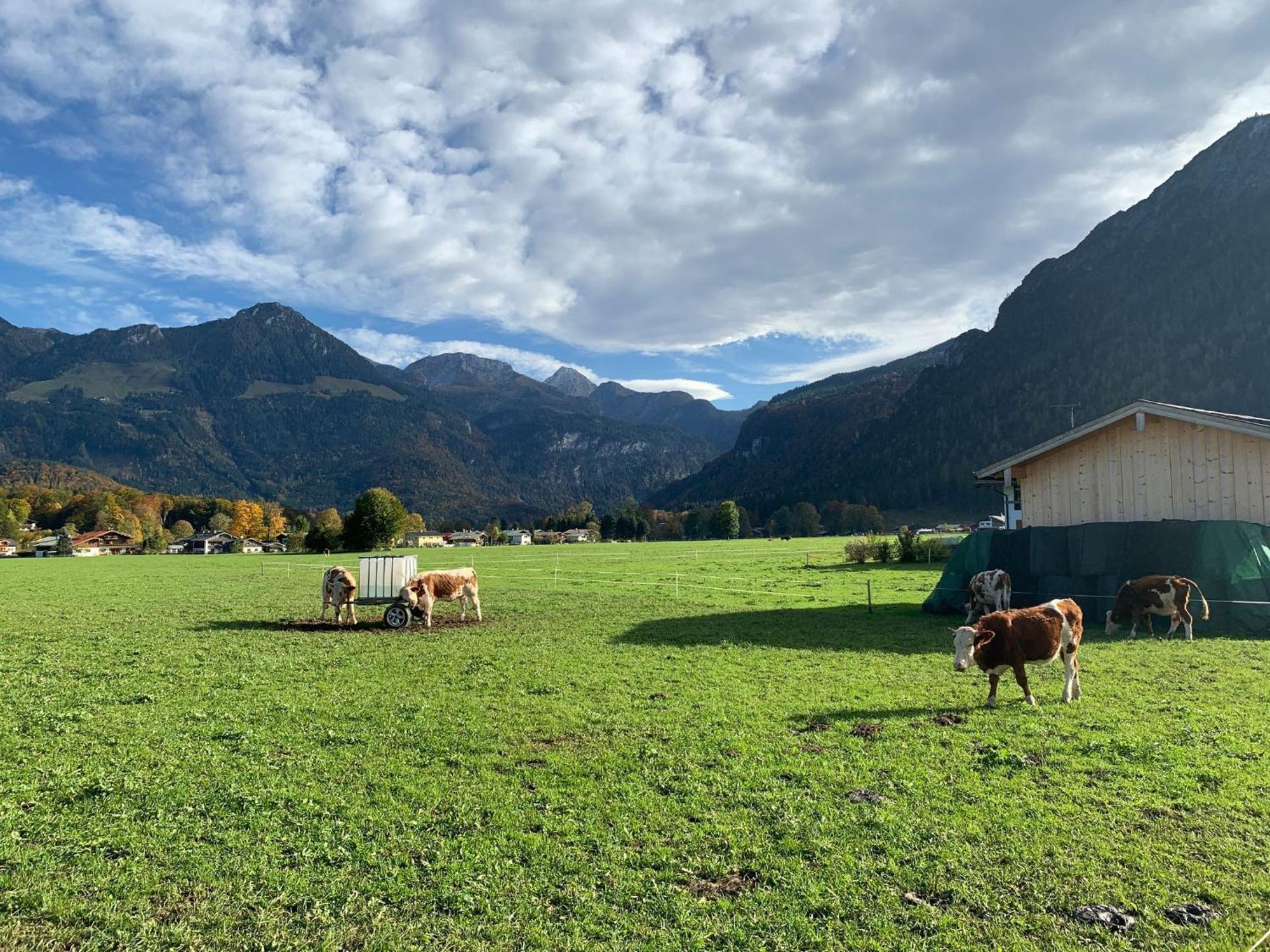 Ferienwohnung Hochkalterblick Schönau am Königssee Zewnętrze zdjęcie